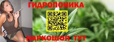 ешки Ставрополь